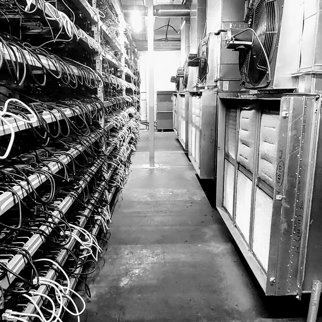 Miner racks facing the filtered intake air handlers