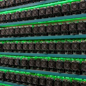 How Colocation Can Minimize Cryptomining Costs to Maximize Your Gains